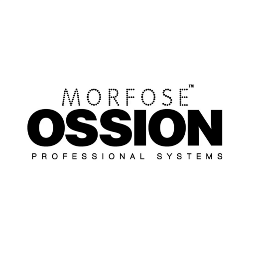 Ossıon